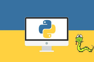 Python for beginners and professionals -2020