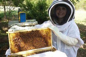 Beekeeping for Beginners: How to Be a Successful Beekeeper!